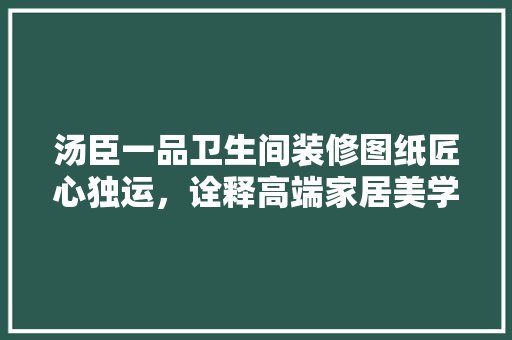 汤臣一品卫生间装修图纸匠心独运，诠释高端家居美学