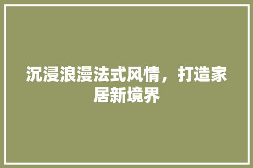 沉浸浪漫法式风情，打造家居新境界