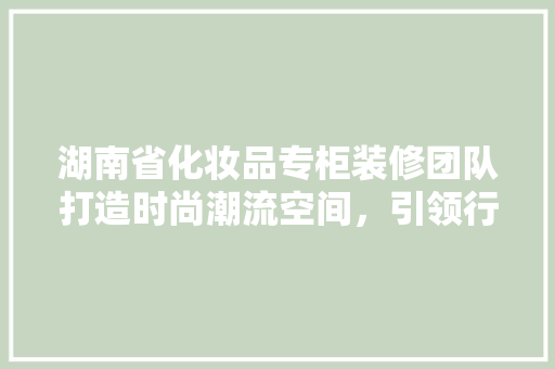 湖南省化妆品专柜装修团队打造时尚潮流空间，引领行业新风尚