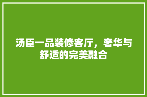 汤臣一品装修客厅，奢华与舒适的完美融合