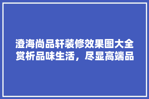 澄海尚品轩装修效果图大全赏析品味生活，尽显高端品味