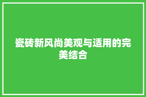 瓷砖新风尚美观与适用的完美结合