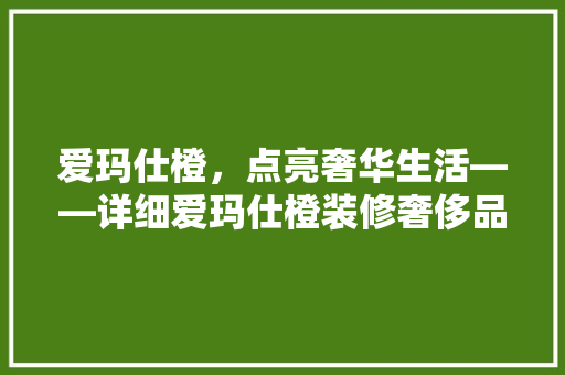 爱玛仕橙，点亮奢华生活——详细爱玛仕橙装修奢侈品店的艺术魅力