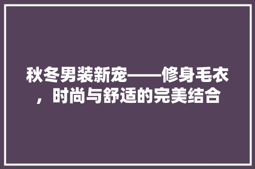 秋冬男装新宠——修身毛衣，时尚与舒适的完美结合