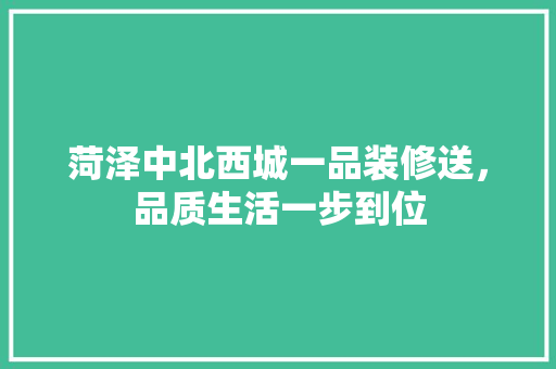菏泽中北西城一品装修送，品质生活一步到位