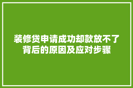 装修贷申请成功却款放不了背后的原因及应对步骤