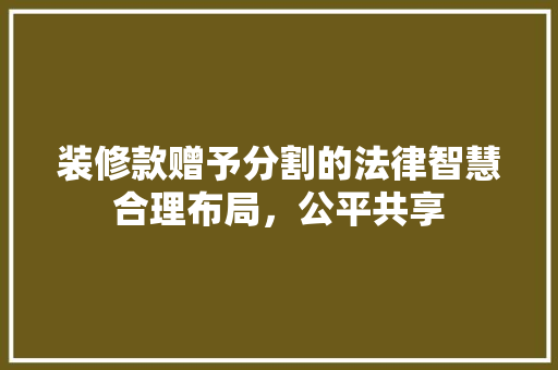 装修款赠予分割的法律智慧合理布局，公平共享