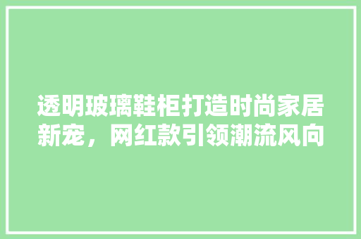 透明玻璃鞋柜打造时尚家居新宠，网红款引领潮流风向标