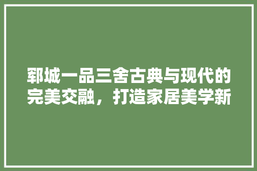 郓城一品三舍古典与现代的完美交融，打造家居美学新标杆