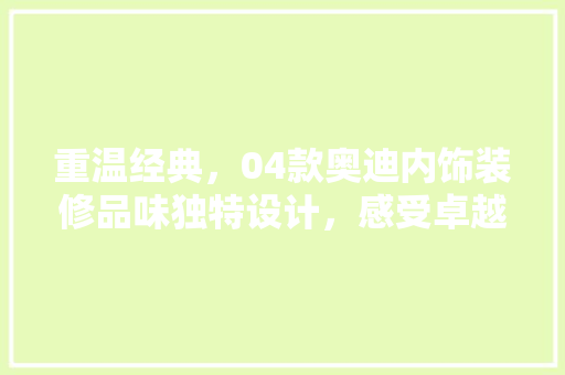 重温经典，04款奥迪内饰装修品味独特设计，感受卓越品质