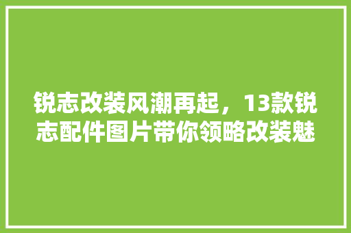 锐志改装风潮再起，13款锐志配件图片带你领略改装魅力