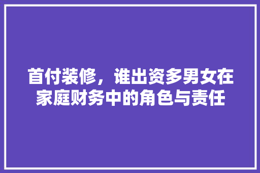 首付装修，谁出资多男女在家庭财务中的角色与责任