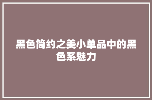 黑色简约之美小单品中的黑色系魅力