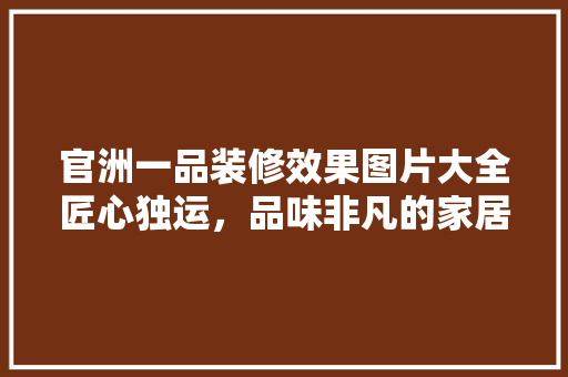 官洲一品装修效果图片大全匠心独运，品味非凡的家居典范