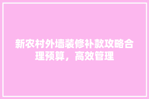 新农村外墙装修补款攻略合理预算，高效管理