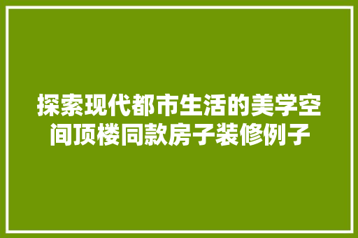 探索现代都市生活的美学空间顶楼同款房子装修例子