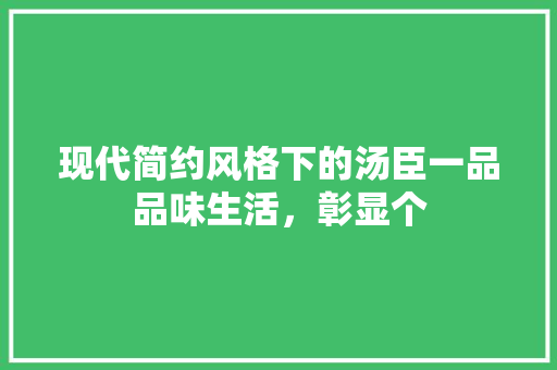 现代简约风格下的汤臣一品品味生活，彰显个