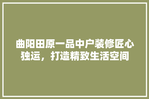 曲阳田原一品中户装修匠心独运，打造精致生活空间