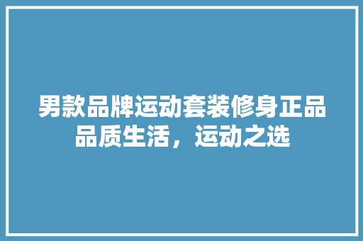 男款品牌运动套装修身正品品质生活，运动之选