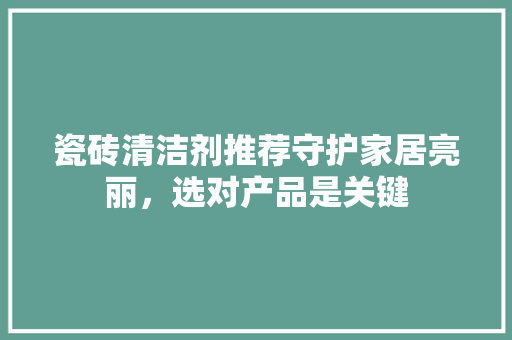 瓷砖清洁剂推荐守护家居亮丽，选对产品是关键