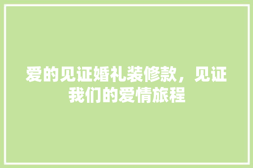 爱的见证婚礼装修款，见证我们的爱情旅程