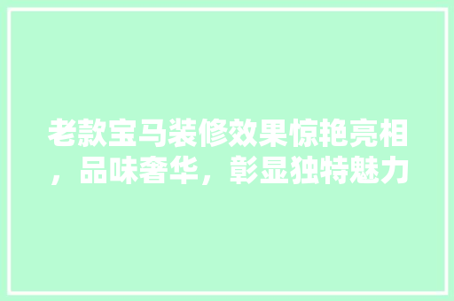 老款宝马装修效果惊艳亮相，品味奢华，彰显独特魅力