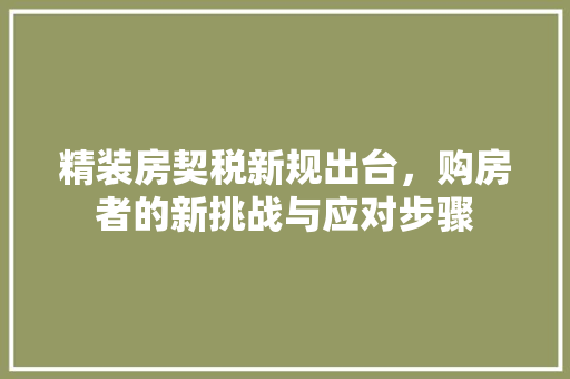 精装房契税新规出台，购房者的新挑战与应对步骤