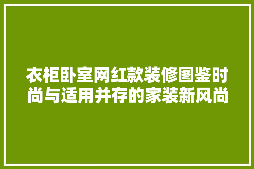 衣柜卧室网红款装修图鉴时尚与适用并存的家装新风尚