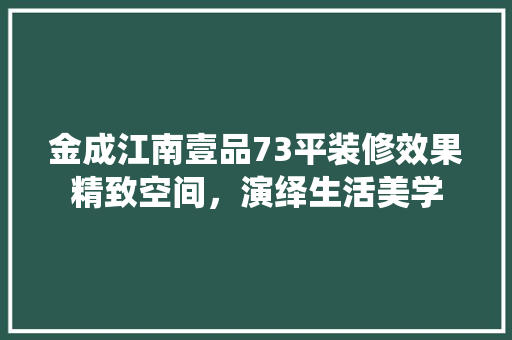 金成江南壹品73平装修效果精致空间，演绎生活美学  第1张