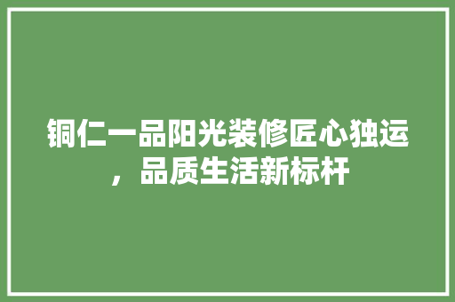铜仁一品阳光装修匠心独运，品质生活新标杆