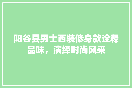 阳谷县男士西装修身款诠释品味，演绎时尚风采