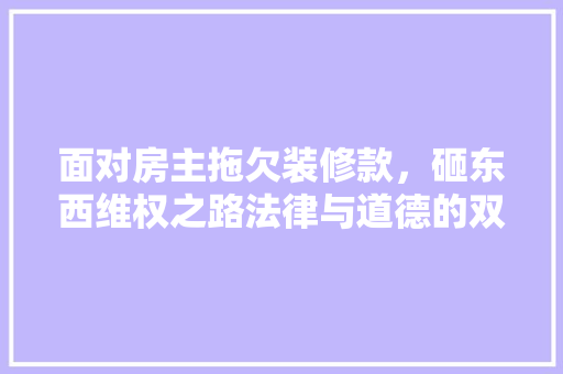 面对房主拖欠装修款，砸东西维权之路法律与道德的双重考量  第1张