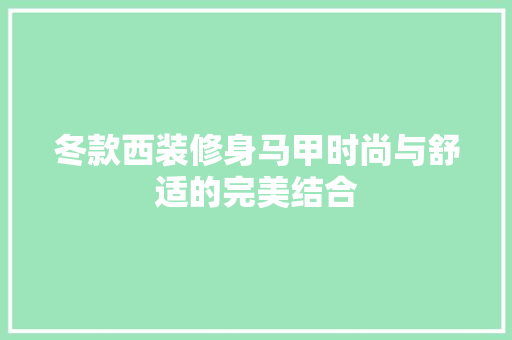 冬款西装修身马甲时尚与舒适的完美结合