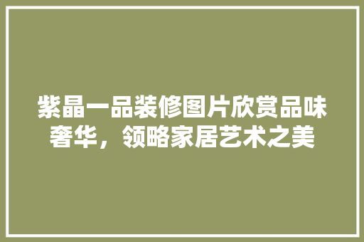 紫晶一品装修图片欣赏品味奢华，领略家居艺术之美
