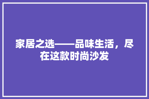 家居之选——品味生活，尽在这款时尚沙发