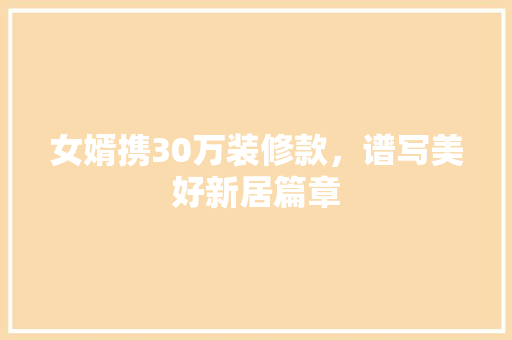 女婿携30万装修款，谱写美好新居篇章