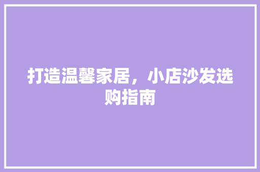 打造温馨家居，小店沙发选购指南