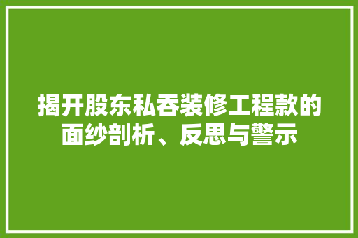 揭开股东私吞装修工程款的面纱剖析、反思与警示