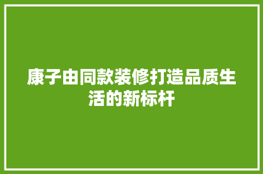 康子由同款装修打造品质生活的新标杆