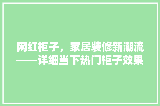 网红柜子，家居装修新潮流——详细当下热门柜子效果图