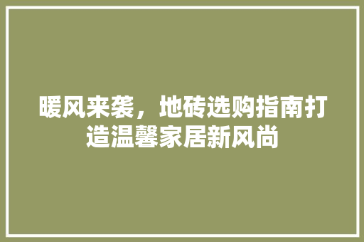 暖风来袭，地砖选购指南打造温馨家居新风尚