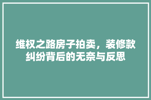 维权之路房子拍卖，装修款纠纷背后的无奈与反思