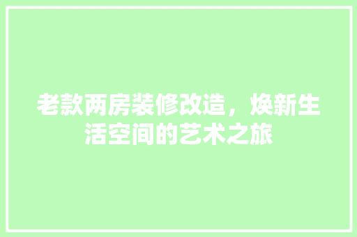 老款两房装修改造，焕新生活空间的艺术之旅