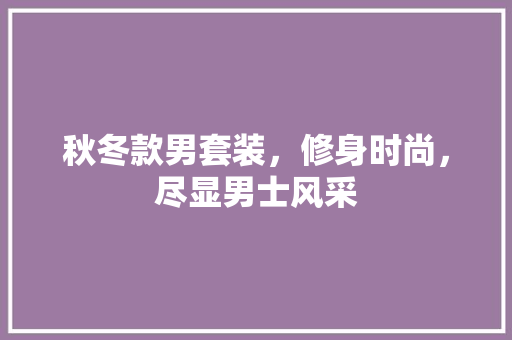 秋冬款男套装，修身时尚，尽显男士风采