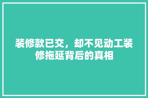 装修款已交，却不见动工装修拖延背后的真相  第1张