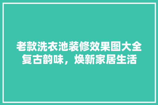 老款洗衣池装修效果图大全复古韵味，焕新家居生活