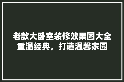 老款大卧室装修效果图大全重温经典，打造温馨家园