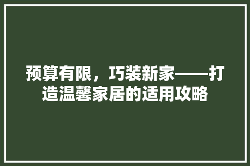 预算有限，巧装新家——打造温馨家居的适用攻略
