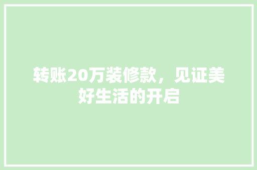 转账20万装修款，见证美好生活的开启
