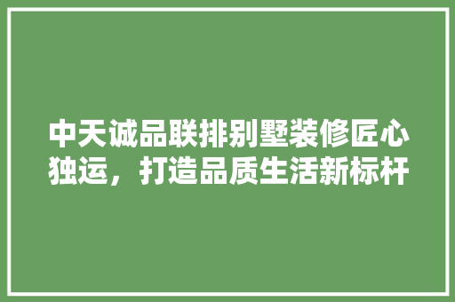 中天诚品联排别墅装修匠心独运，打造品质生活新标杆